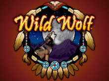 Wild Wolf
